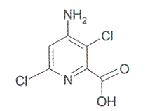 Aminopyralid 
